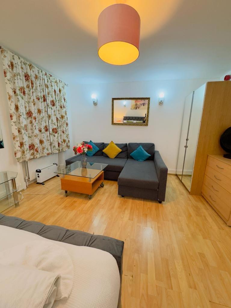 Bright Budget Studio Apartment In Central Londres Extérieur photo